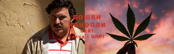 сатива Богородицк