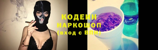 ПСИЛОЦИБИНОВЫЕ ГРИБЫ Богданович