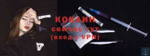 ПСИЛОЦИБИНОВЫЕ ГРИБЫ Богданович