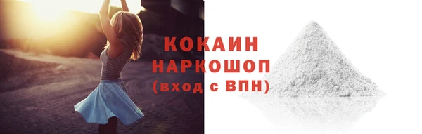 ПСИЛОЦИБИНОВЫЕ ГРИБЫ Богданович