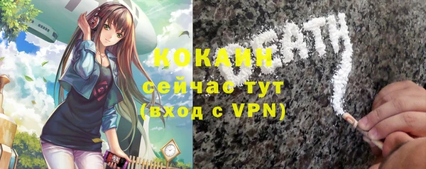 ПСИЛОЦИБИНОВЫЕ ГРИБЫ Богданович