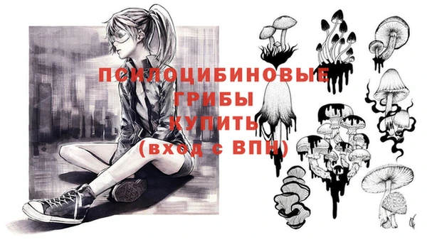 сатива Богородицк