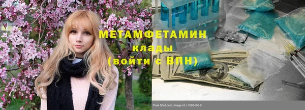 ПСИЛОЦИБИНОВЫЕ ГРИБЫ Богданович