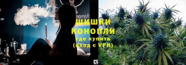 сатива Богородицк