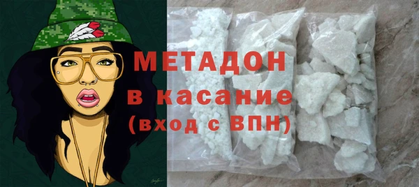 ПСИЛОЦИБИНОВЫЕ ГРИБЫ Богданович