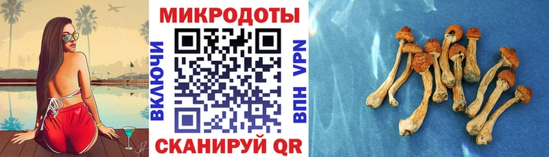 нарко площадка как зайти  Палласовка  Псилоцибиновые грибы Magic Shrooms  закладки 